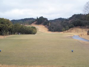 20100228