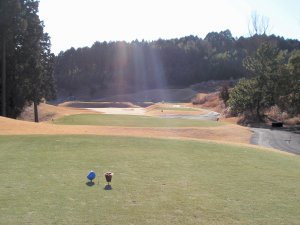 20100126