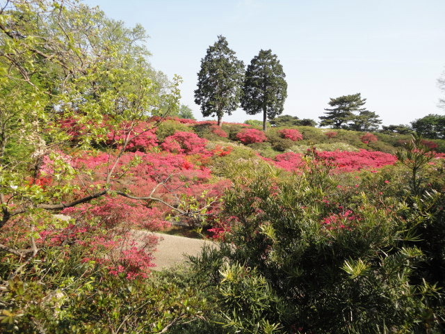 20140425