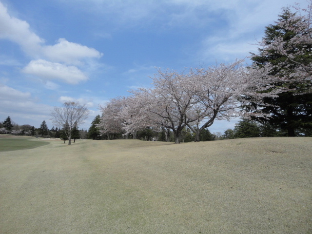 20150409