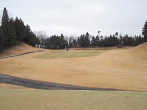 20100302