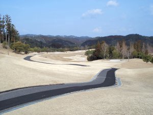 20100313