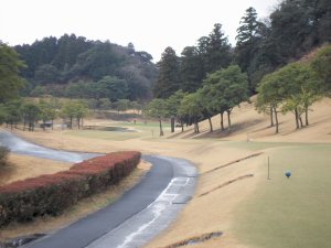 20100228