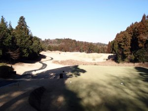 20100126