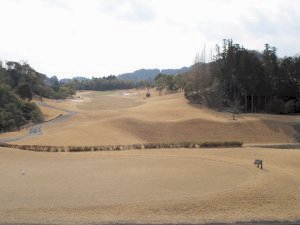 20100313