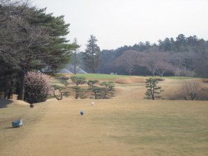 20100316