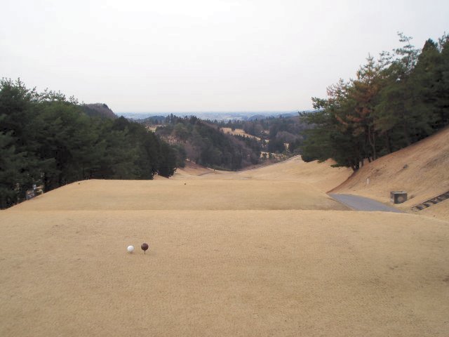 20100318