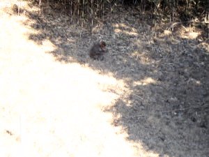 20100207