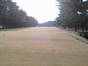 20100128