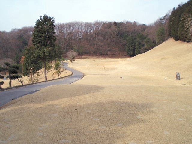20100318