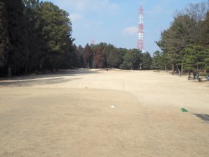 20100131