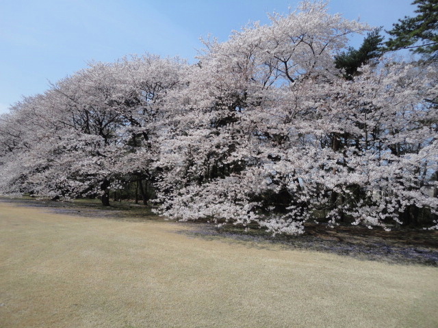 20140401｜鷹之台ＣＣ