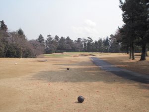 20100316