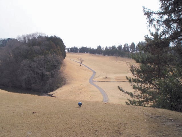 20100318