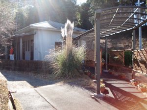 20100126
