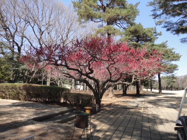 20150305｜大宮ＧＣ