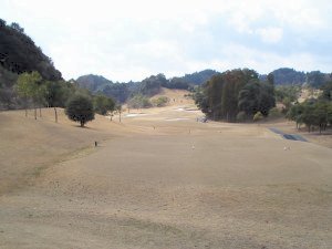 20100313