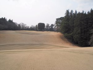 20100316