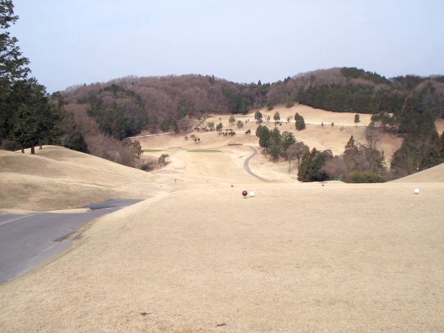 20100318