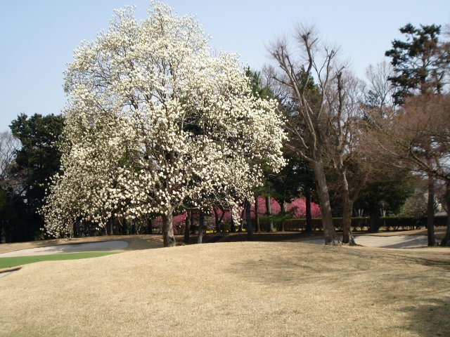 20100320