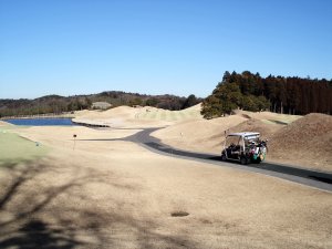 20100126