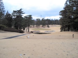 20100128