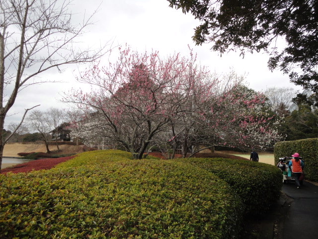 20150307｜平川ＣＣ