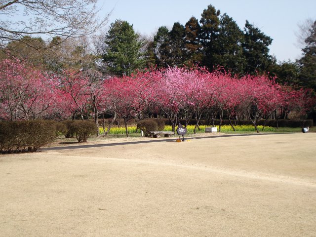 20100320