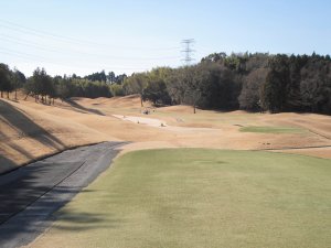 20100126