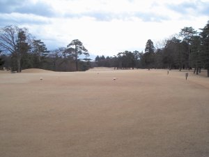 20100128