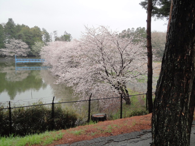 20140404
