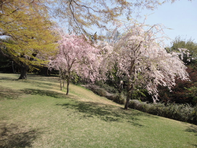 20140411