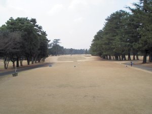 20100316