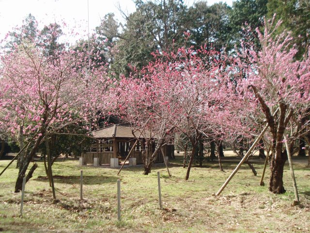 20100320