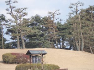 20100131