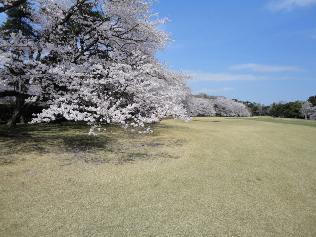 20140401｜鷹之台ＣＣ