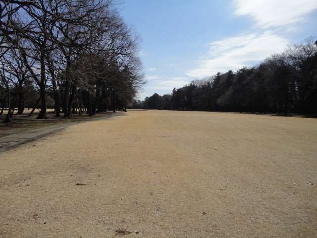20150305｜大宮ＧＣ