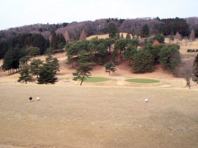 20100318