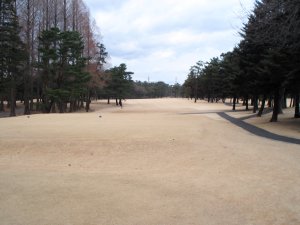20100128