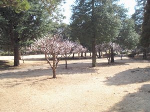 20100314