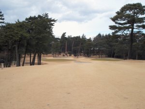 20100128