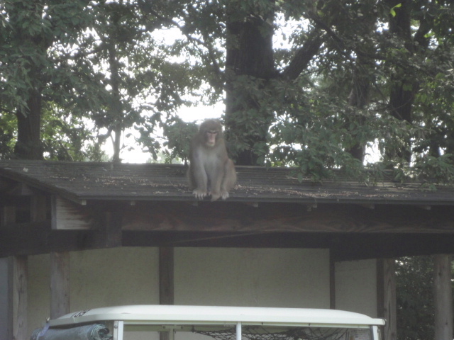 20151003｜ゴルフ場写真