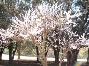 20100314