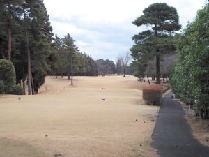 20100128