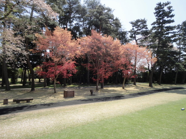 20140411