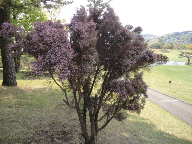 20140425