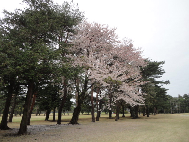 20150410