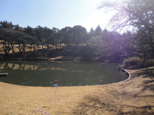 20150219｜桜ヶ丘ＣＣ