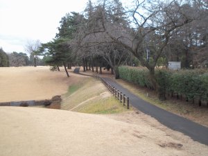 20100128