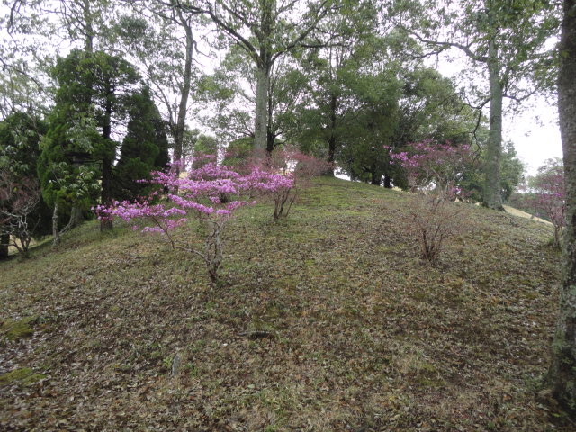 20140406